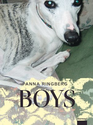 cover image of Boys